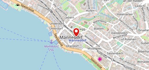 Blumen zum Glück Männedorf sulla mappa