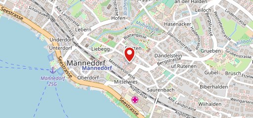 Eltern-Kind-Zentrum Mànnedorf sulla mappa