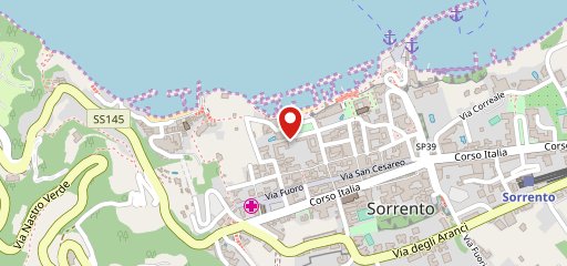 Hotel Continental Sorrento sulla mappa