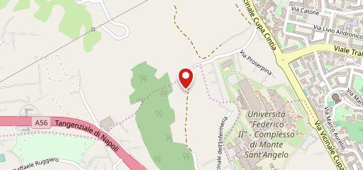 Jungle - AgriLOUNGEbar sulla mappa