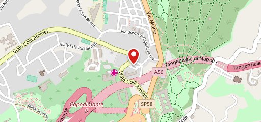 Pizzeria Da Michele Colli Aminei sulla mappa