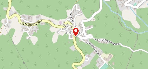 Ristorante Pizzeria Il Rustichello sulla mappa