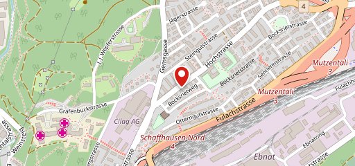 SpeedyPizza Schaffhausen sulla mappa