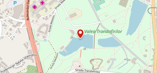 Vatra Veche sur la carte