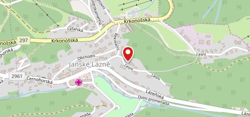 restaurant-st-brn-pramen-jansk-l-zn-restaurant-menu-prices-and