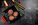 dish