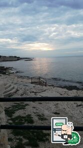 Foto di Google