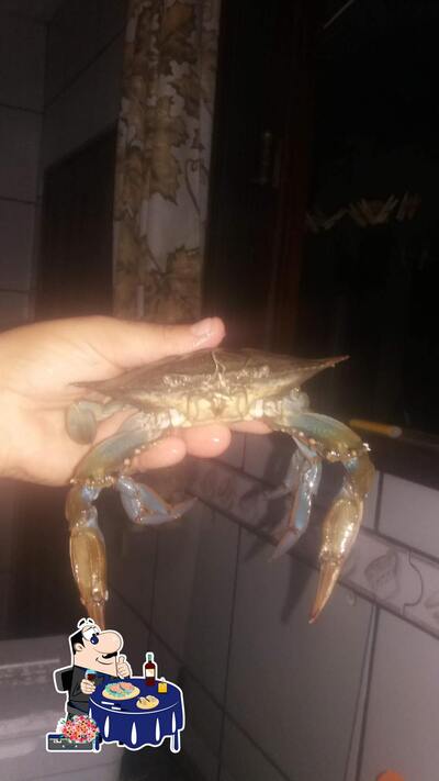 Experimente frutos do mar no De Laerte