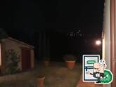 Foto di Google