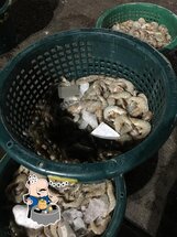 เพชรบุรีอาหารทะเลสด ปลีก-ส่ง