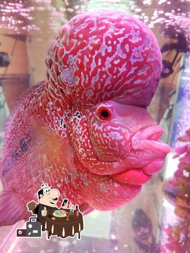 Mee fong polesworth restaurant menu Restaurant Guru