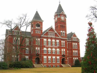 Auburn