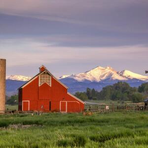 Longmont