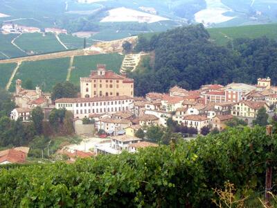 Barolo