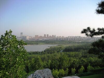 Forest Park