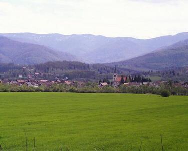 Vitez