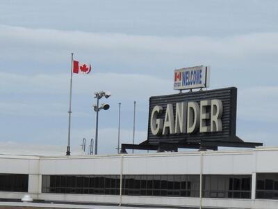 Gander