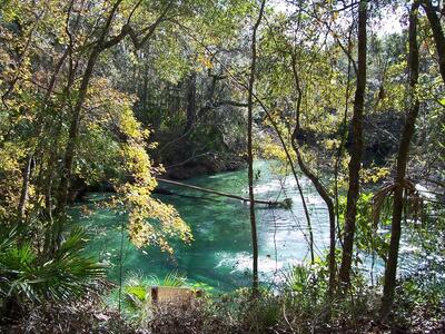 Blue Springs