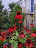 Earsdon Plants Centre