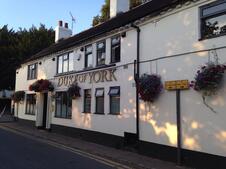 The Duke of York