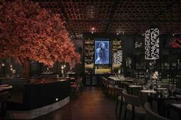 Tattu Manchester