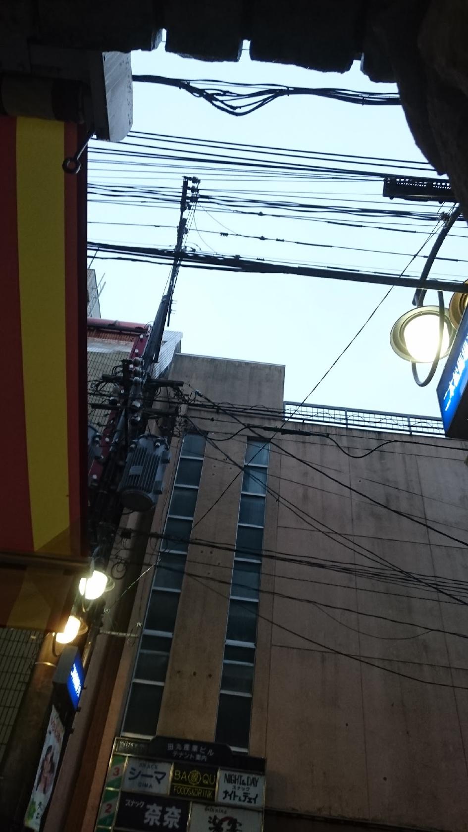 シルバーフォックス