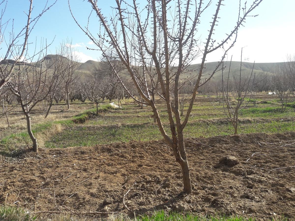 غذای آماده شهرک مهدیه