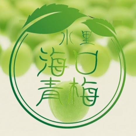 水里海口青梅