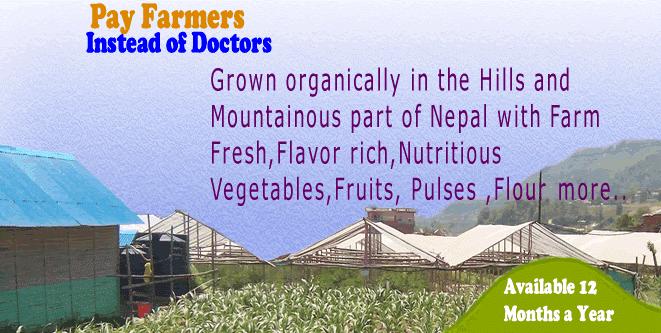 Himalayan Premium Foods