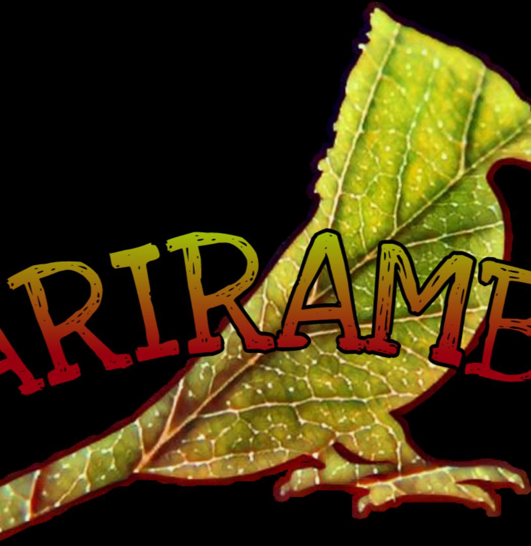 Pizzeria Ariramba