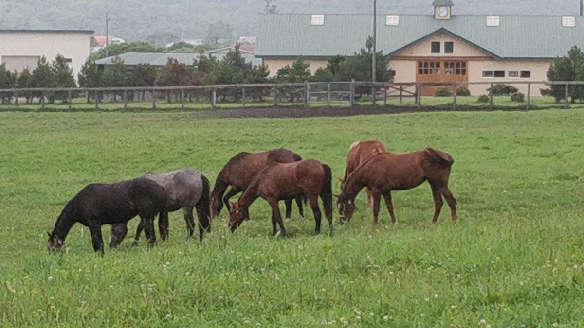 こだわりの鍋と炭焼き 夢窓庵
