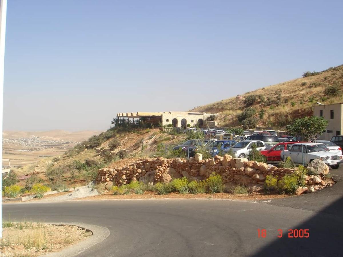 Restaurant and palm park Abu