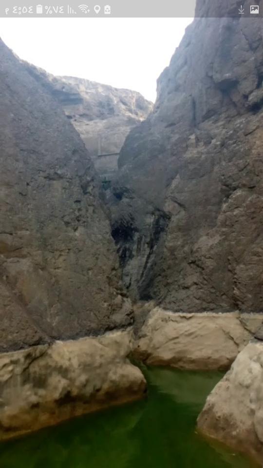 مطعم شيزان