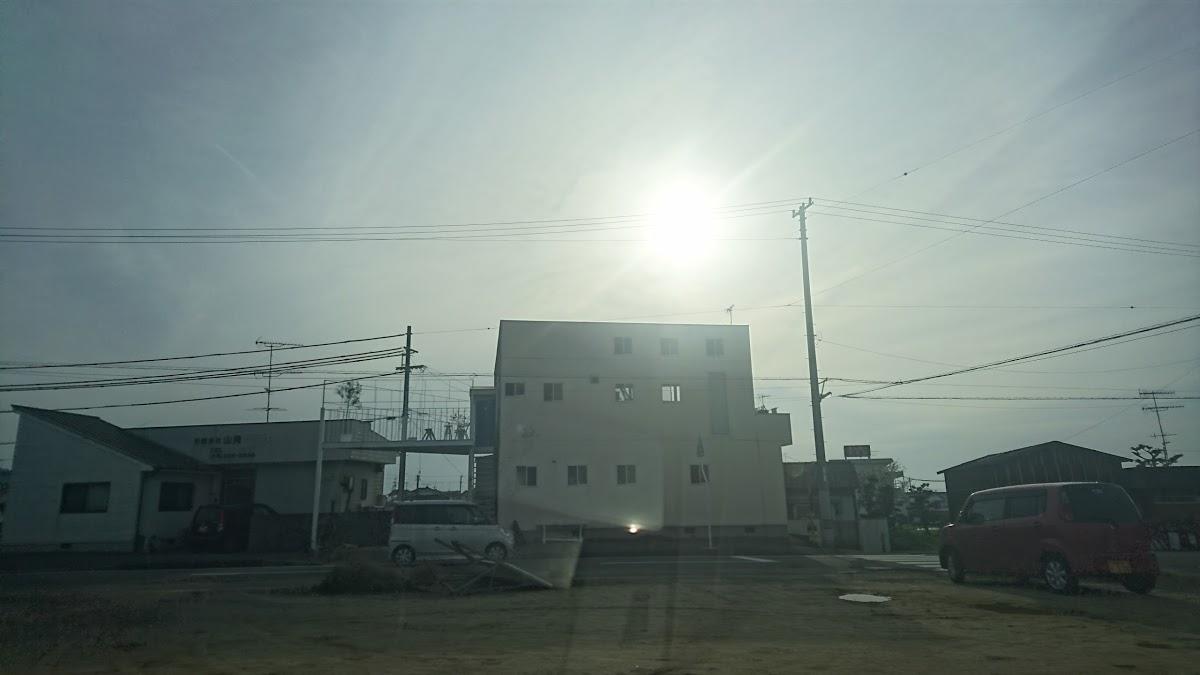 手焼珈琲 RODAN