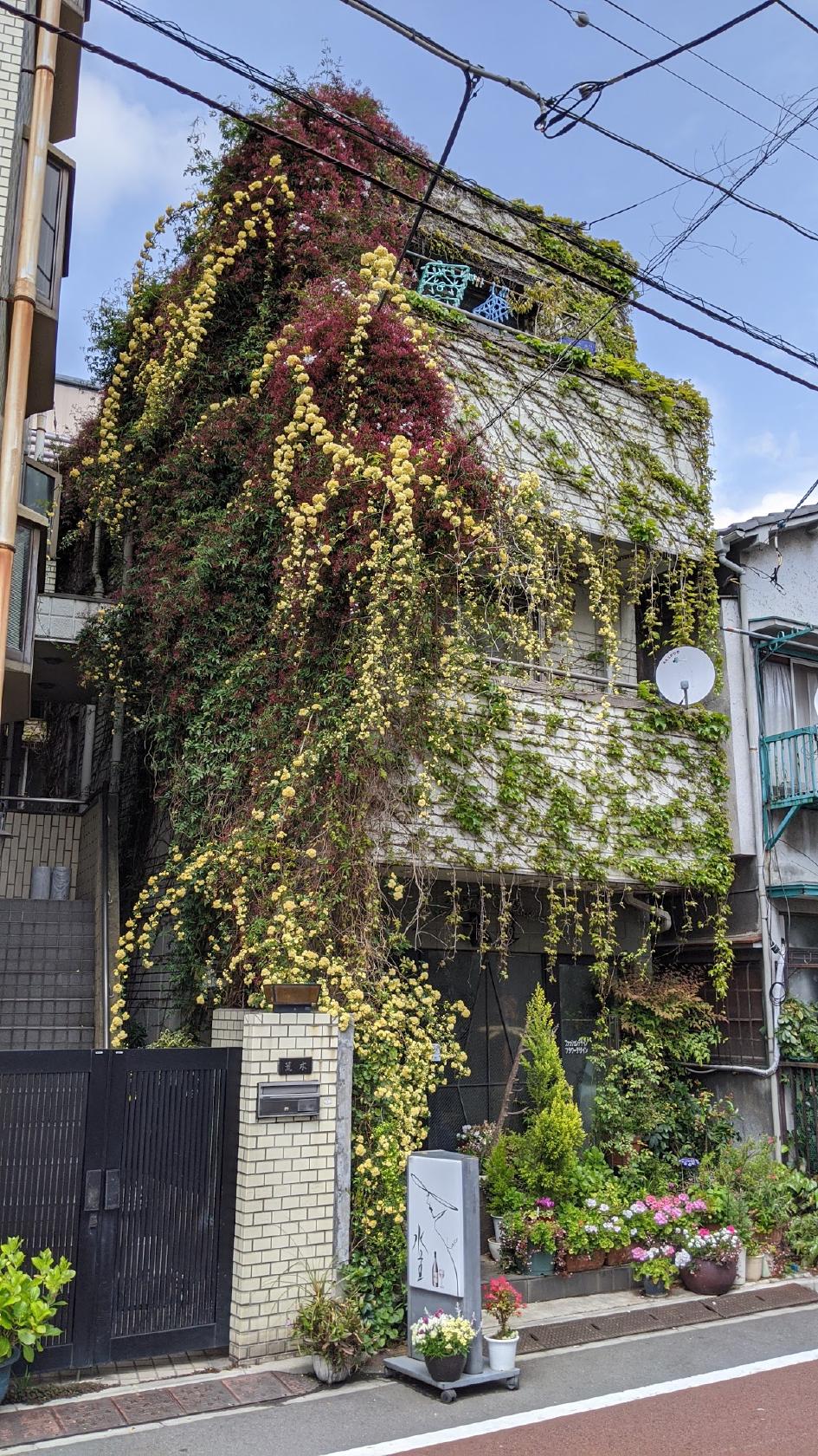 水主