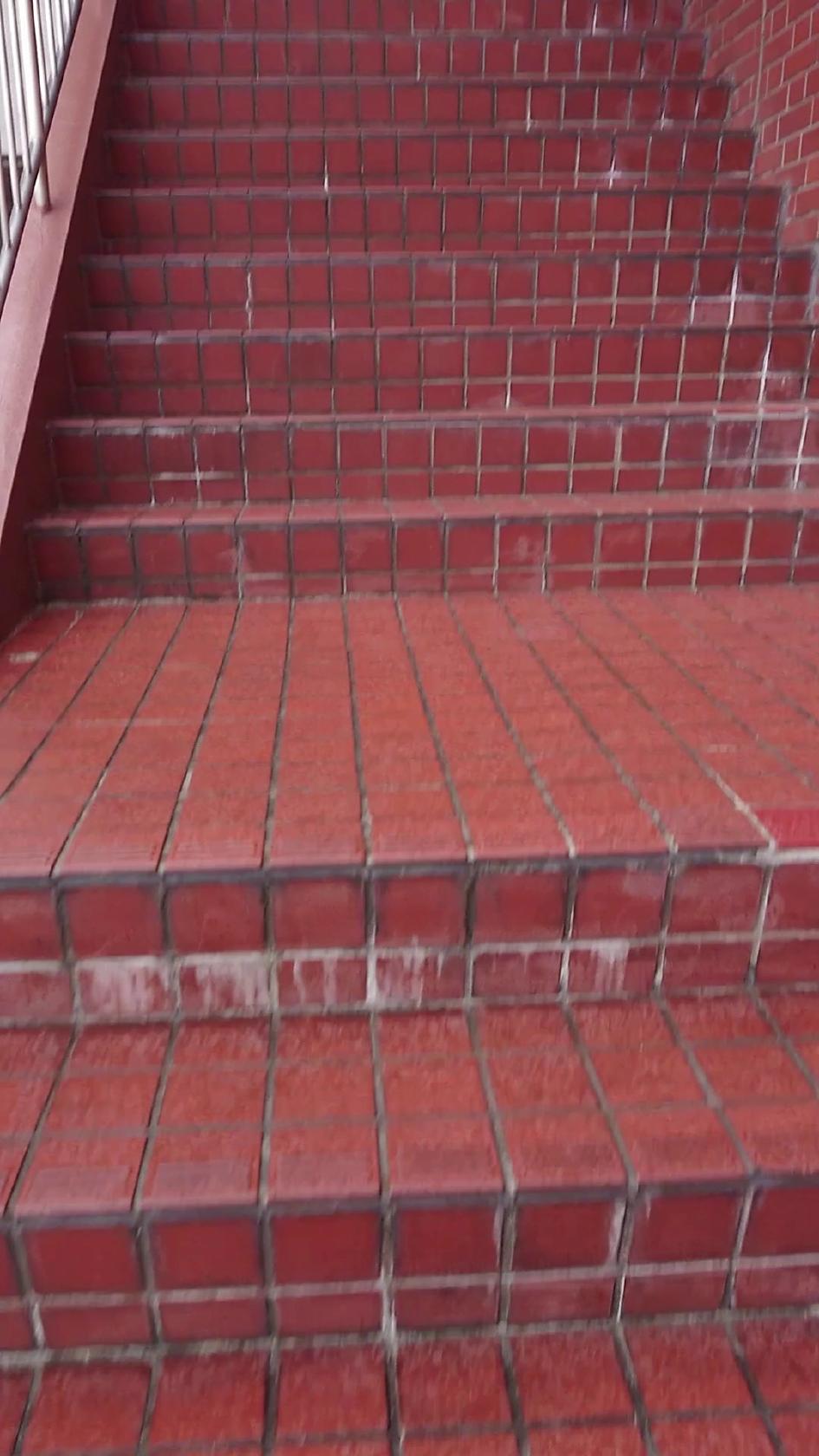 きゃっしゅ