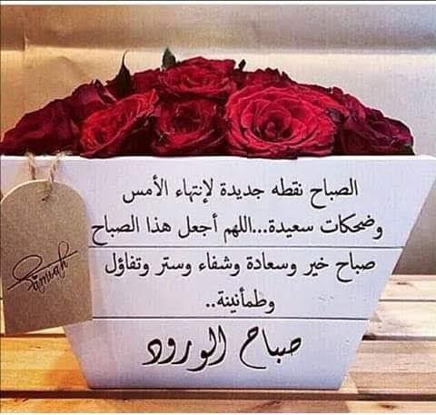 مطعم فروج