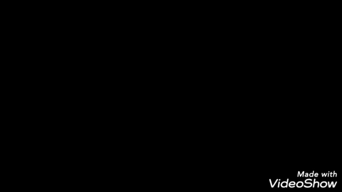 كاكي بروست