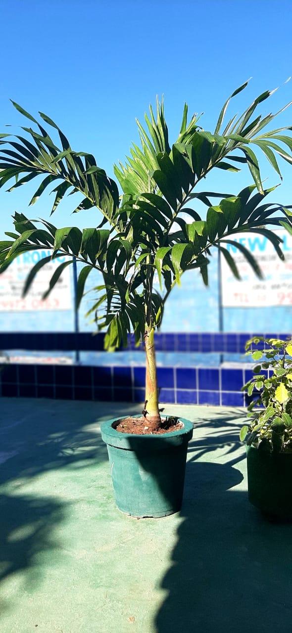 Balneário Beira Rio