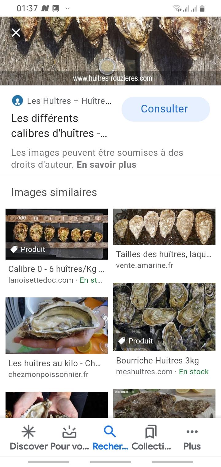 Vieux sarr