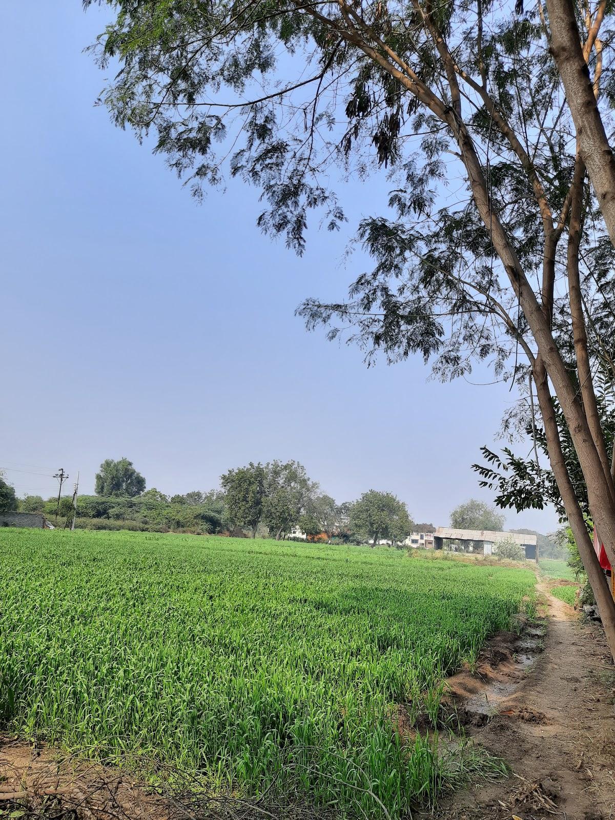 Kshirsagar hurda party