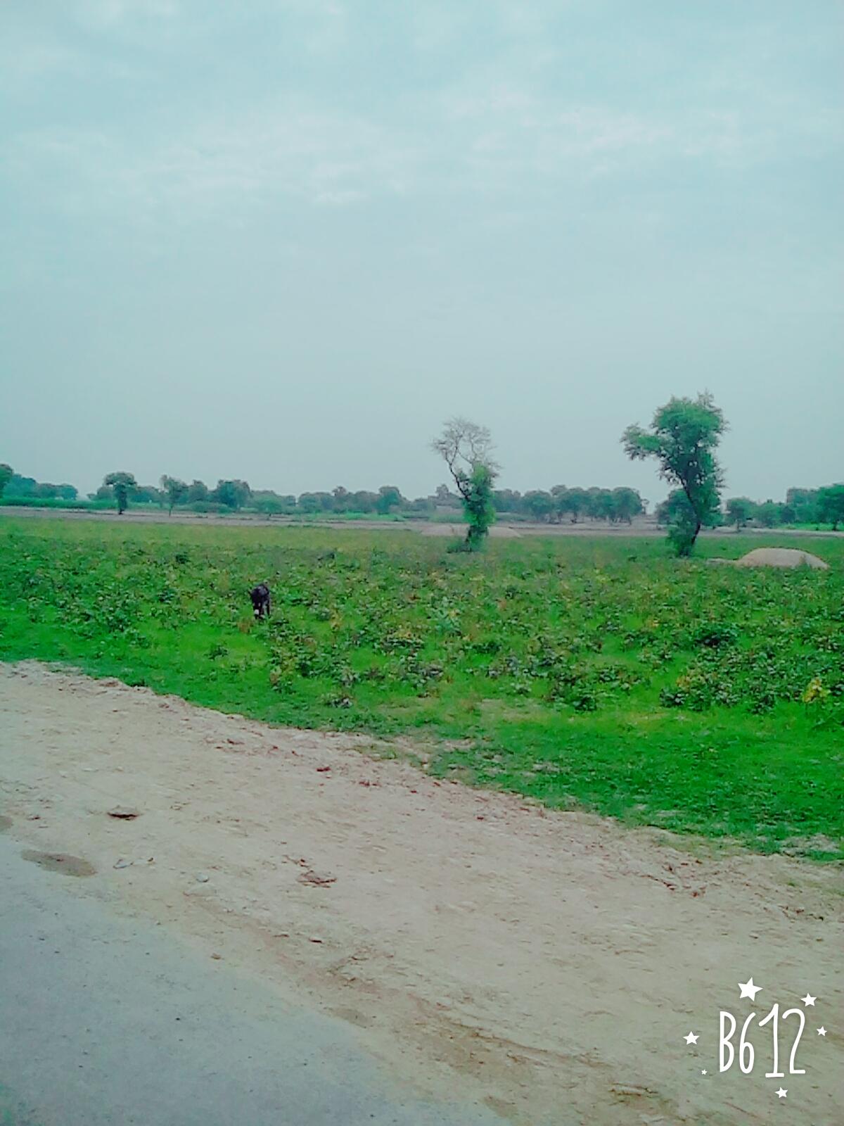 Muhammad Akhtar Chawal Channay Hotle