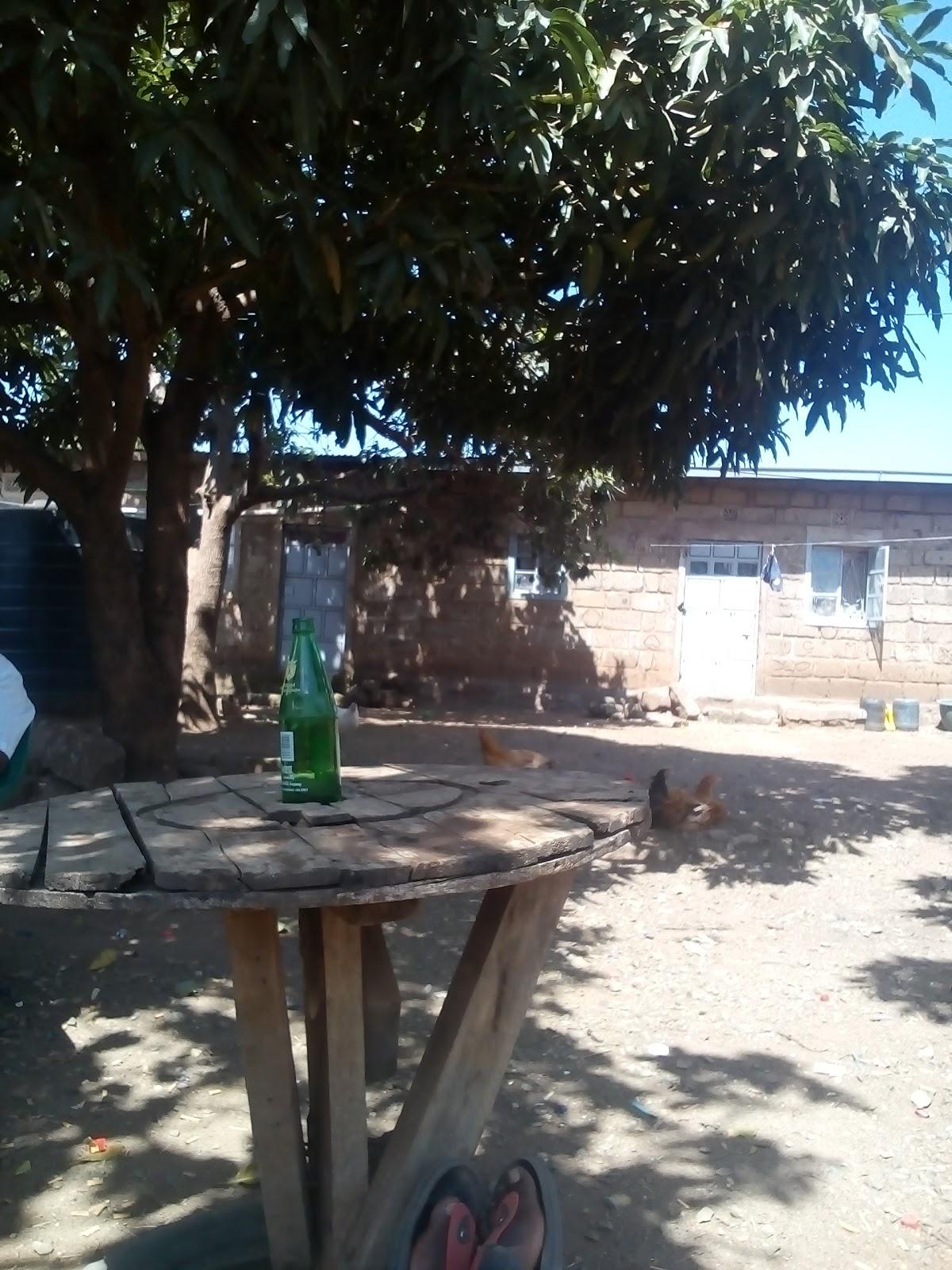 Wa Munene