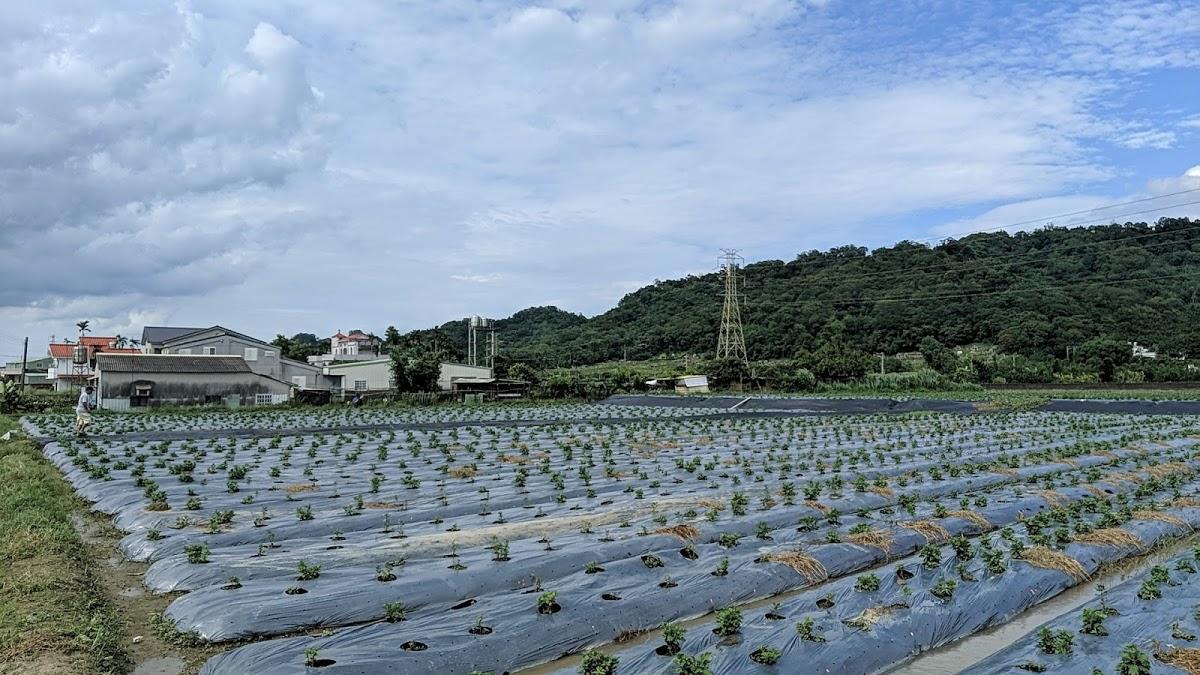 巧廚客家美食