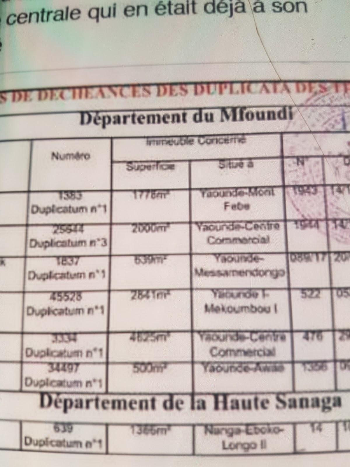 Afriland First Bank POS - Restaurant Chez Wou