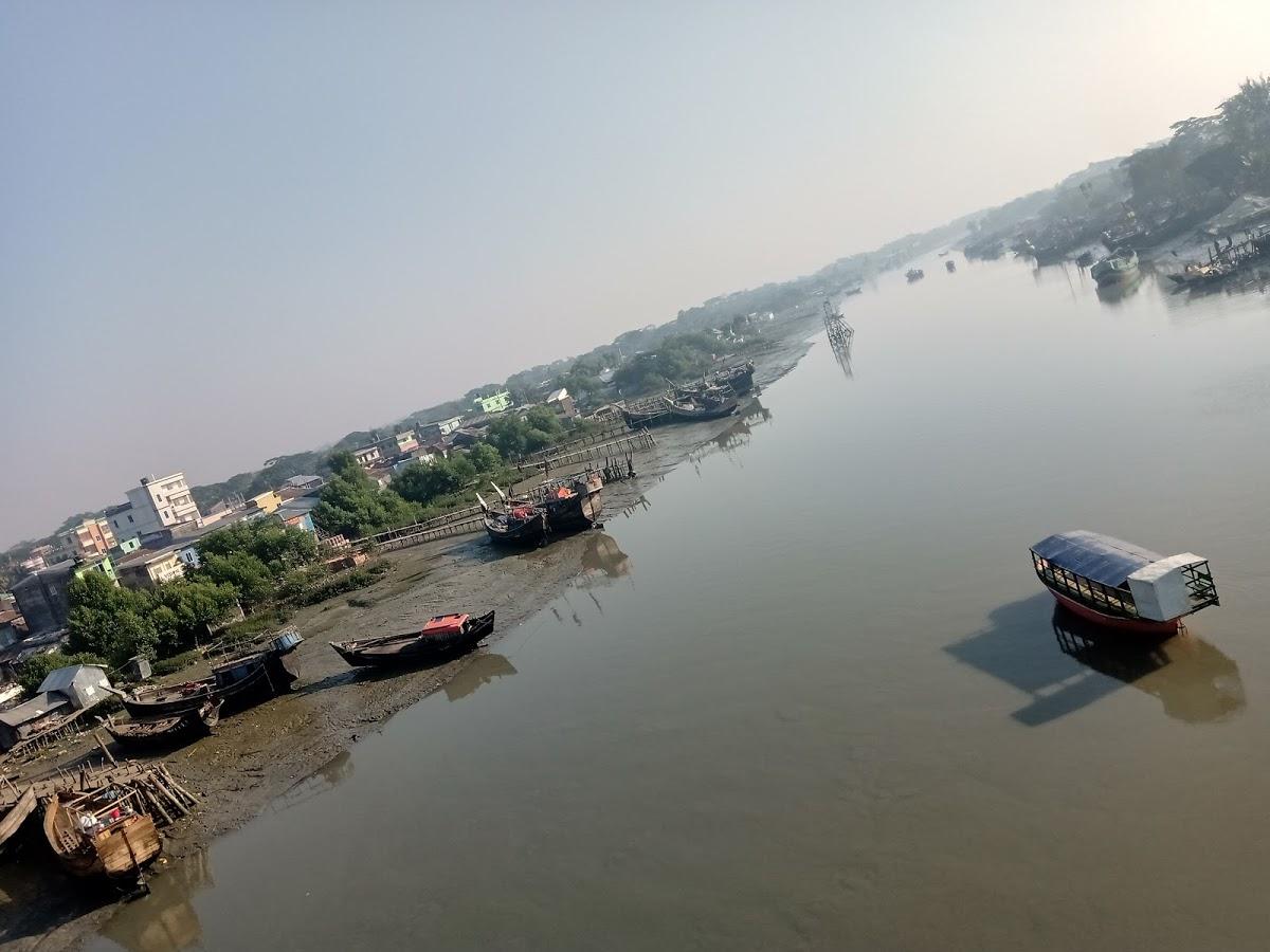 শিউলী ফিস