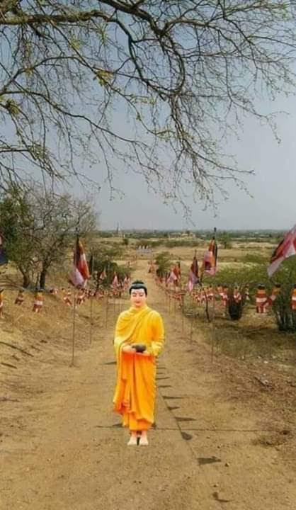 သ်သစ် ကွမ်းယာဆိုင်