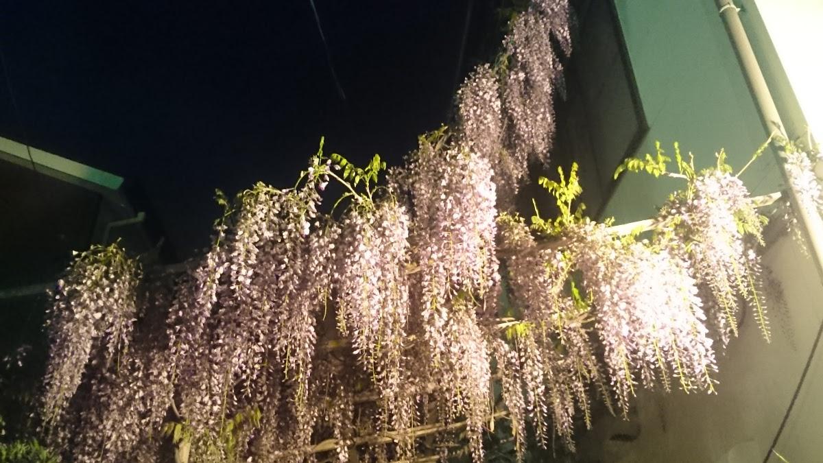 やさか