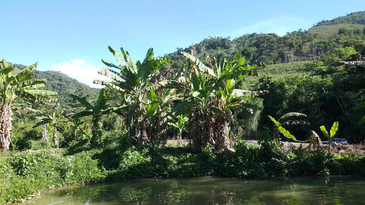 Cabaña Los Coquitos