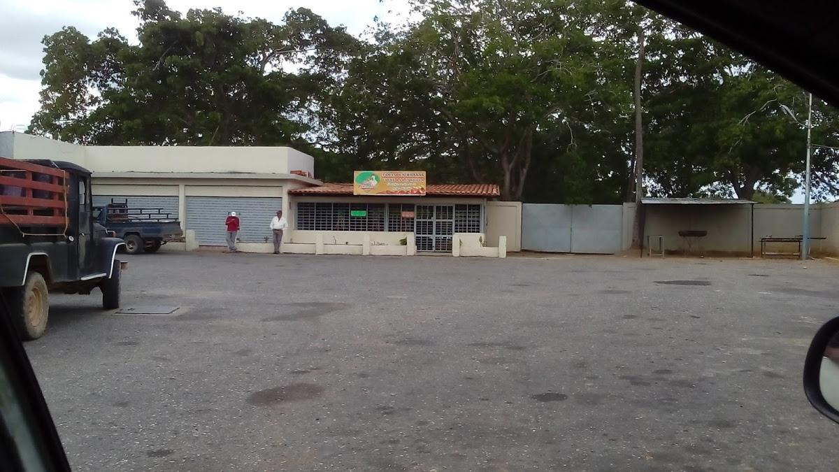 Pollos Primera Base